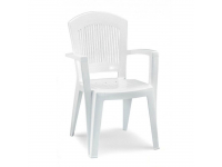 Кресло пластиковое Super Elegant Monobloc