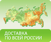 Доставка по всей России