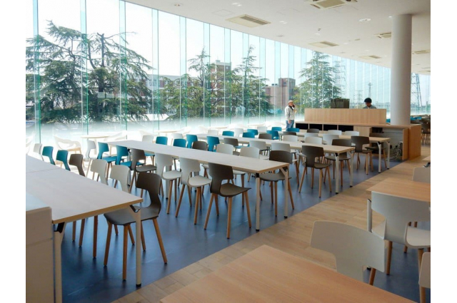 Проекты - Sangyo University, Осака, Япония