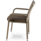 Кресло плетеное с подушкой JOYGARDEN Rome алюминий, искусственный ротанг светло-коричневый Фото 2