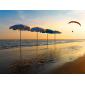 Зонт пляжный профессиональный Crema Poseidon алюминий, акрил Фото 4