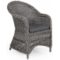 Кресло плетеное с подушкой BraFab Eads алюминий, искусственный ротанг, ткань серый Фото 1