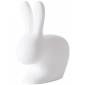 Светильник пластиковый напольный Qeeboo Rabbit OUT полиэтилен полупрозрачный Фото 7