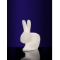 Светильник пластиковый напольный Qeeboo Rabbit OUT полиэтилен полупрозрачный Фото 4