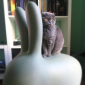 Стул пластиковый Qeeboo Rabbit полиэтилен зеленый Фото 21