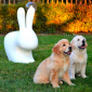 Стул пластиковый Qeeboo Rabbit полиэтилен белый Фото 9