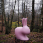 Стул пластиковый Qeeboo Rabbit полиэтилен розовый Фото 14