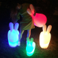 Светильник пластиковый напольный Qeeboo Rabbit OUT полиэтилен полупрозрачный Фото 20