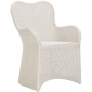 Кресло плетеное JANUS et Cie Butterfly II алюминий, искусственный ротанг пергаментный Фото 1