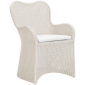 Кресло плетеное с подушкой JANUS et Cie Butterfly II алюминий, искусственный ротанг, акрил пергаментный Фото 1