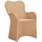Кресло плетеное с подушкой JANUS et Cie Butterfly II алюминий, искусственный ротанг, акрил кленовый Фото 6