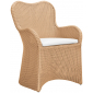 Кресло плетеное с подушкой JANUS et Cie Butterfly II алюминий, искусственный ротанг, акрил кленовый Фото 1