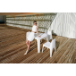 Стол пластиковый Vondom Solid Basic полипропилен белый Фото 6