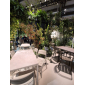 Стул пластиковый Nardi Cassia Bistrot стеклопластик бежевый Фото 6