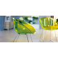 Кресло прозрачное на полозьях PEDRALI Gliss сталь, поликарбонат зеленый Фото 12
