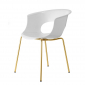 Кресло пластиковое Scab Design Miss B Antishock сталь, поликарбонат золотой, белый Фото 1