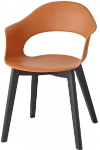 Кресло пластиковое Scab Design Natural Lady B бук, технополимер черный бук, терракотовый Фото 1
