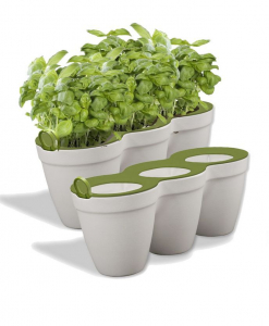 Кашпо пластиковое Keter Ivy Herbs пластик белый, зеленый Фото 2
