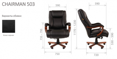 Кресло компьютерное Chairman 503 металл, дерево, кожа, экокожа, пенополиуретан черный Фото 3