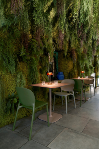 Стул пластиковый Scab Design Hug Go Green технополимер оливковый Фото 13