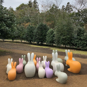 Стул пластиковый Qeeboo Rabbit полиэтилен оранжевый Фото 22