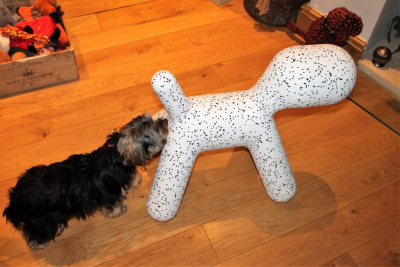 Собака пластиковая Magis Puppy полиэтилен далматинец Фото 13