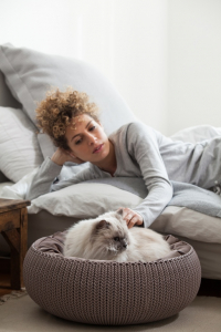Кровать для животных Curver Cozy пластик с имитацией плетения коричневый, голубой Фото 3