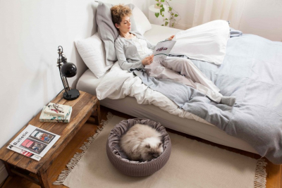 Кровать для животных Curver Cozy пластик с имитацией плетения коричневый, голубой Фото 2